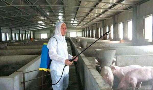 微酸性消毒水機(圖3)